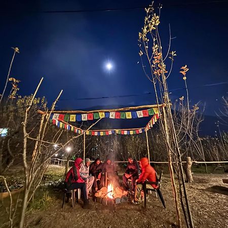 Basecamp Manali Hostel Eksteriør bilde