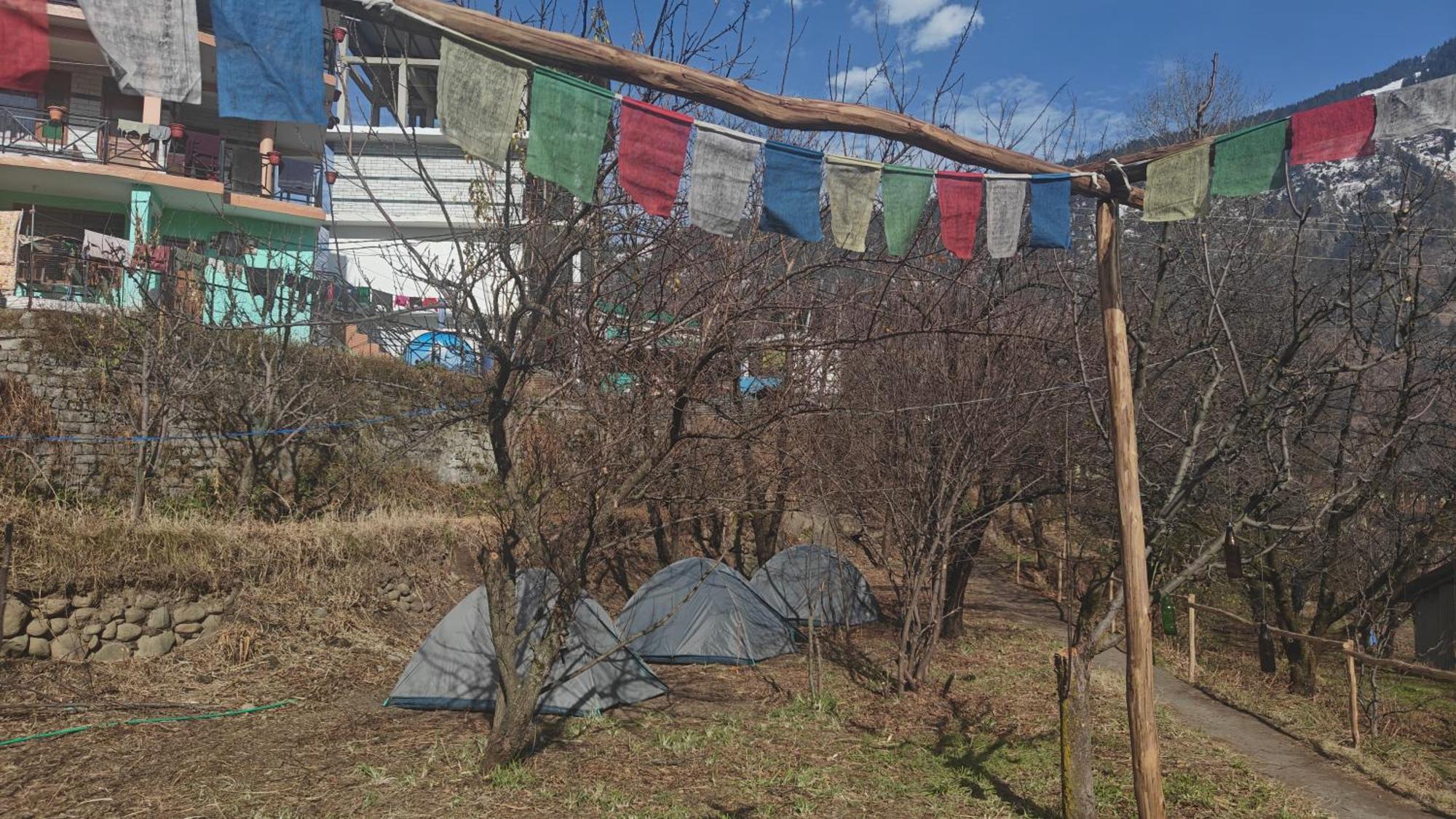Basecamp Manali Hostel Rom bilde