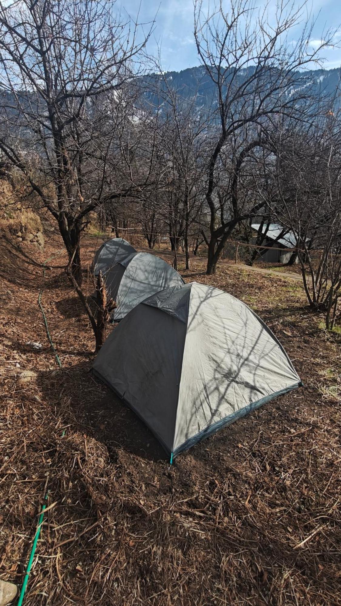 Basecamp Manali Hostel Rom bilde